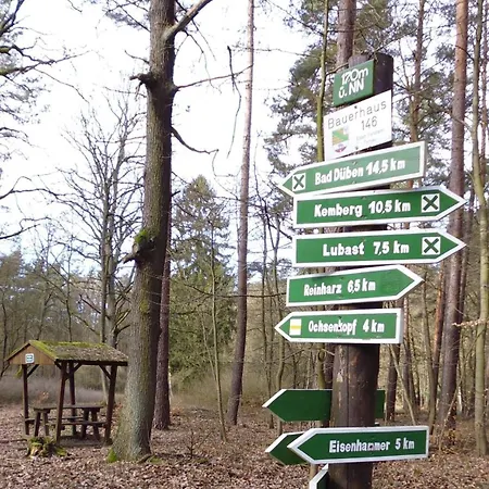 Dom wakacyjny Kemberg-kleines Haus Am Wald *