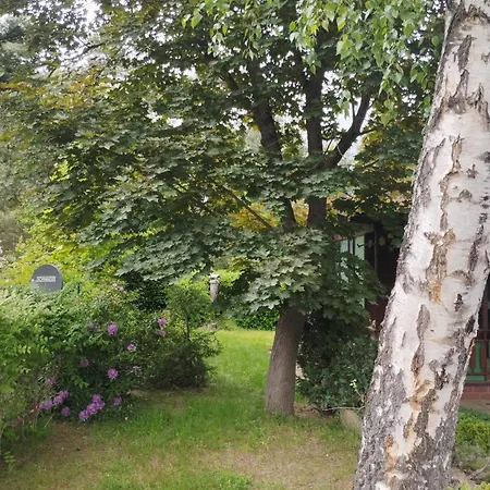 Kemberg-kleines Haus Am Wald *
