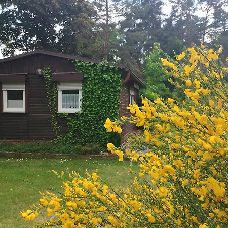 Kemberg-kleines Haus Am Wald